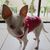 Esther J.'s profile image