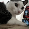 Juan's profile image