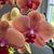 Marcia Moore's profile image