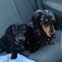 JoAnn Reed's profile image