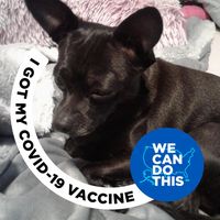 Saundra Quinn Reed's profile image