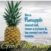 Julie Manning-Dutchin's profile image