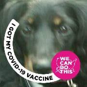 Mary Neumann Handy's profile image