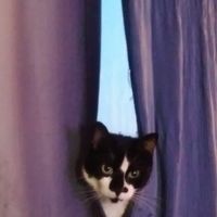 Todd Arient's profile image