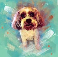 Kelly Gee's profile image
