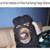 Steven Fanslow's profile image