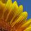 Melinda B.'s profile image