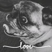 M.J. Eichinger's profile image