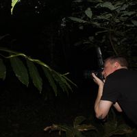Nick Molnar's profile image