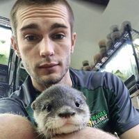 Nick Stacey's profile image