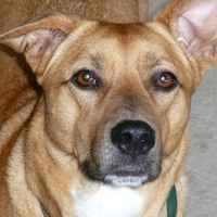 Sandy Mell's profile image