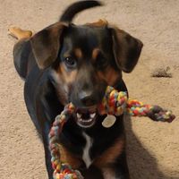 Dawn McClure-Wiest's profile image