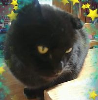 Laureen Baxter's profile image