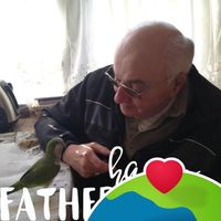 Karol Newville Mcivor's profile image