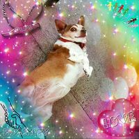 Barbara Glancy's profile image