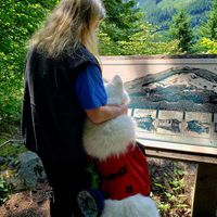 Kathy Walimaki-Thomas's profile image