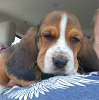 Gerri Holley's profile image