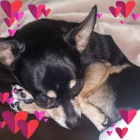 Mari Vafides's profile image