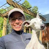 Melissa Smith's profile image