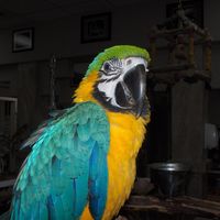 Debbie Lannerd's profile image