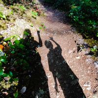 Nanette Swisher's profile image