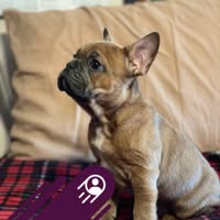 Monica Lynne Mason's profile image