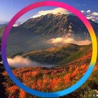 Billie JoAnn Massimi's profile image