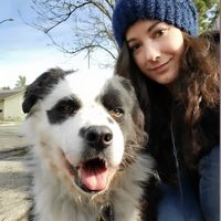 Rachel Smith's profile image