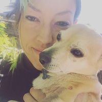Stephanie Shiota's profile image