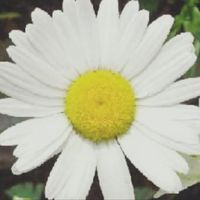 Patricia Rodriguez Valadez's profile image