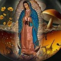 Ileana Rogo's profile image