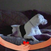 Shelly Johnson's profile image