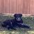 Mike Mintz's profile image