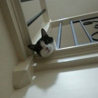 Mark Yam's profile image