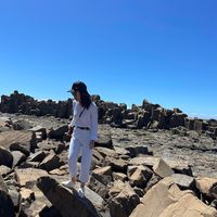 Alison Hong's profile image