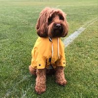 Sandra Pitt's profile image