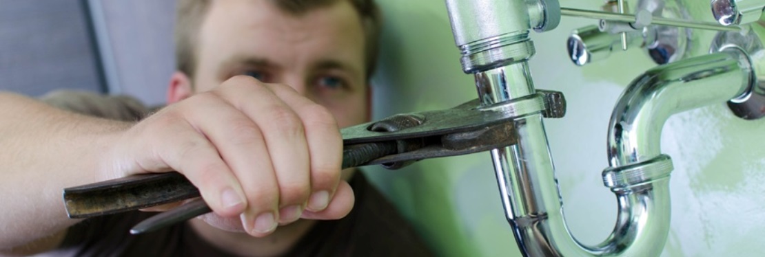 Draingo of Alabama's cover image