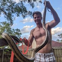 Brad Muirhead's profile image