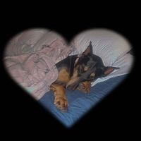 Michalle Dean Smith's profile image