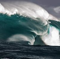 Tamara Sterling's profile image