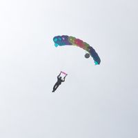 Jeff Peterson's profile image