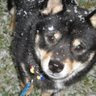 Tracie's profile image