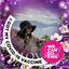 Ladan's profile image