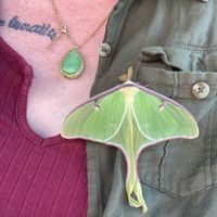 Josiphine Marie Jenkins's profile image