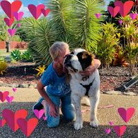 Annelise Rasmussen's profile image