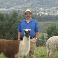Steve Gordon's profile image