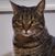 Johna Moore Stoneking's profile image
