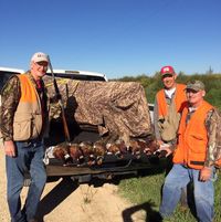 Larry Harre's profile image