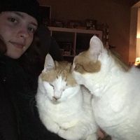 Corinne Mastrella Prestigiacomo's profile image