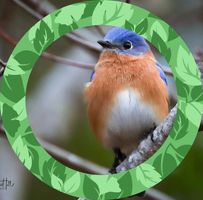 Robin Johnson's profile image